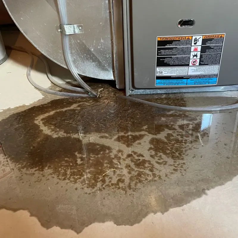 Pipe Burst and Leak Restoration in Stockton, CA